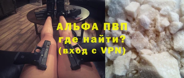 ПСИЛОЦИБИНОВЫЕ ГРИБЫ Няндома