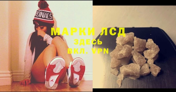 ПСИЛОЦИБИНОВЫЕ ГРИБЫ Няндома