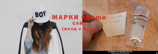 ПСИЛОЦИБИНОВЫЕ ГРИБЫ Няндома