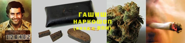 ПСИЛОЦИБИНОВЫЕ ГРИБЫ Няндома