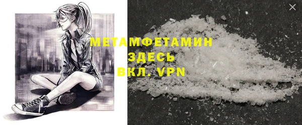 ПСИЛОЦИБИНОВЫЕ ГРИБЫ Няндома