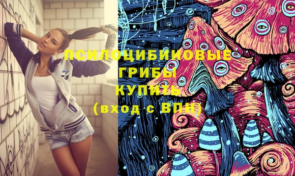 ПСИЛОЦИБИНОВЫЕ ГРИБЫ Няндома