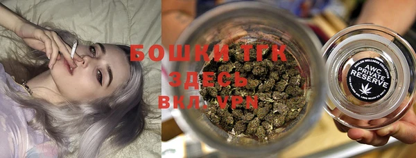 ПСИЛОЦИБИНОВЫЕ ГРИБЫ Няндома