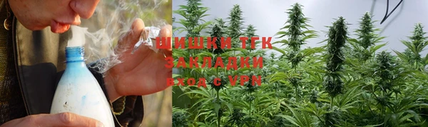 ПСИЛОЦИБИНОВЫЕ ГРИБЫ Няндома