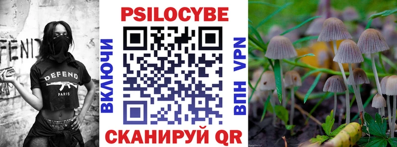 где продают наркотики  Спасск-Рязанский  Псилоцибиновые грибы Psilocybine cubensis 